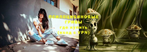 шишки Волосово