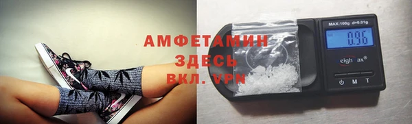 шишки Волосово