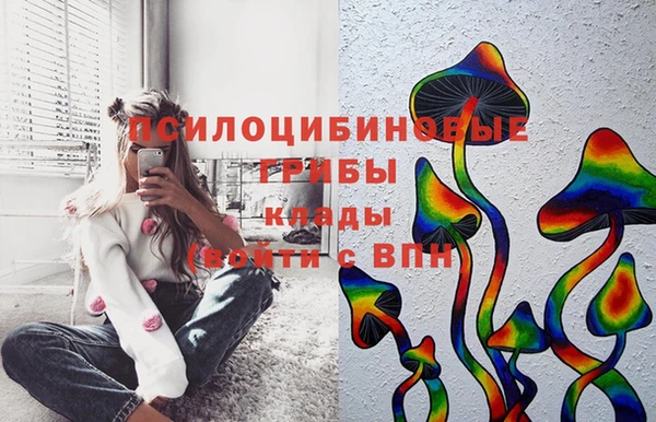 spice Волоколамск