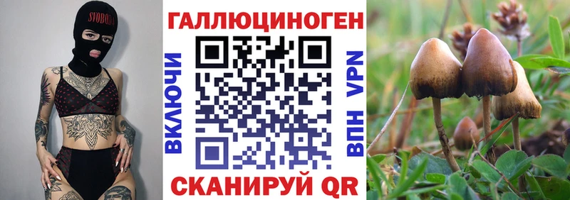 Галлюциногенные грибы прущие грибы  blacksprut   Вуктыл 